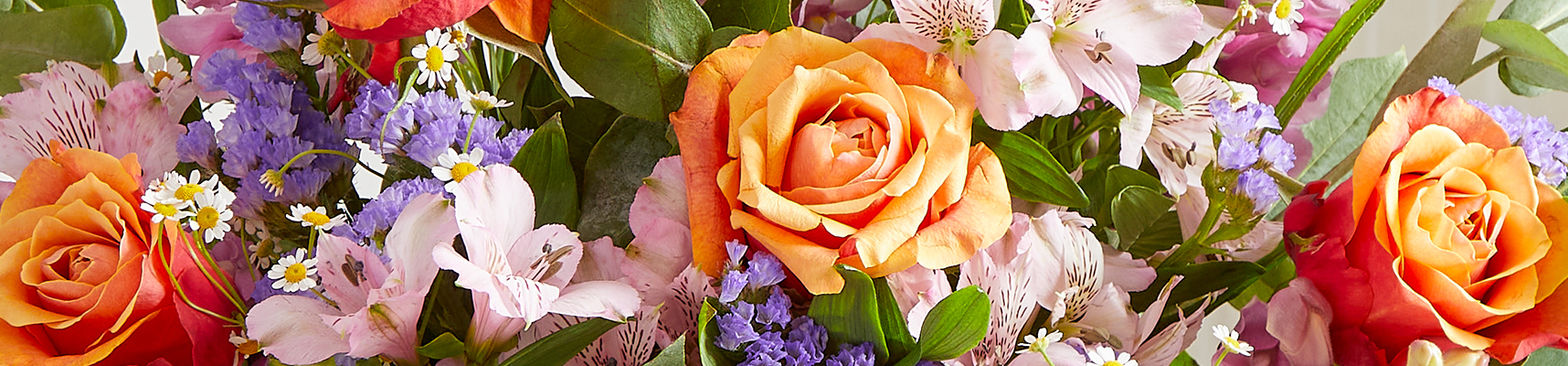 Arena Flowers