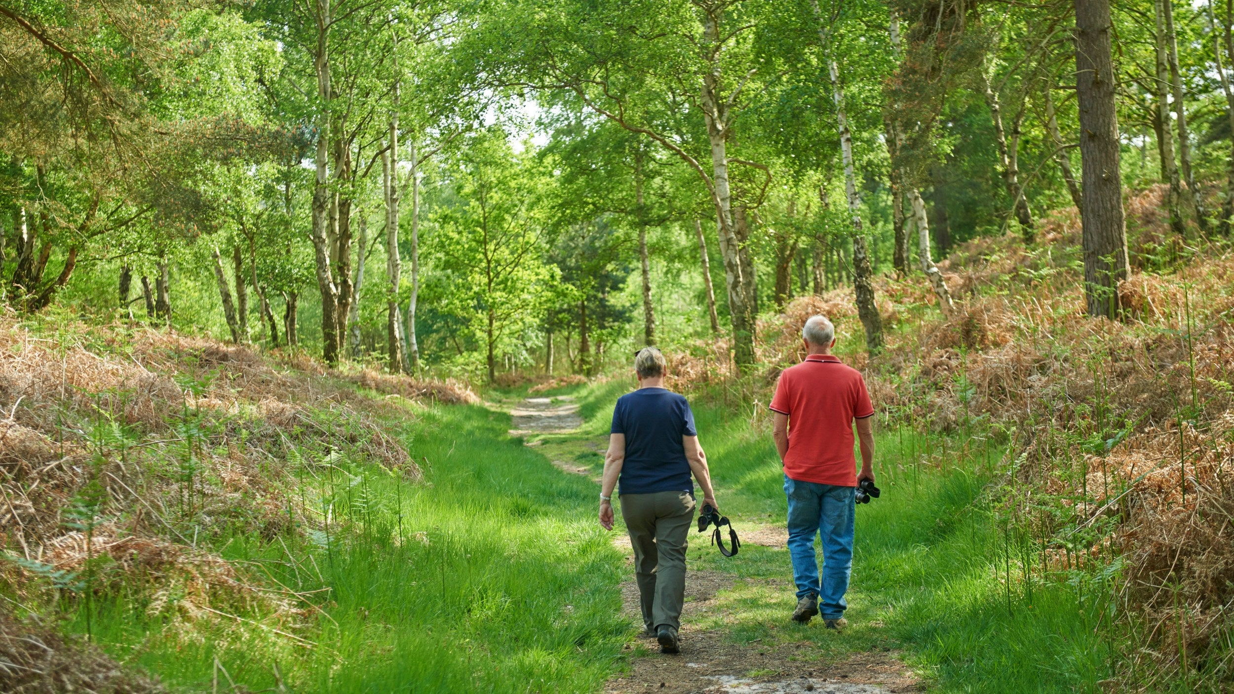 People walking in woodland Dunwich Heath Suffolk | © National Trust Images/Trevor Ray Hart