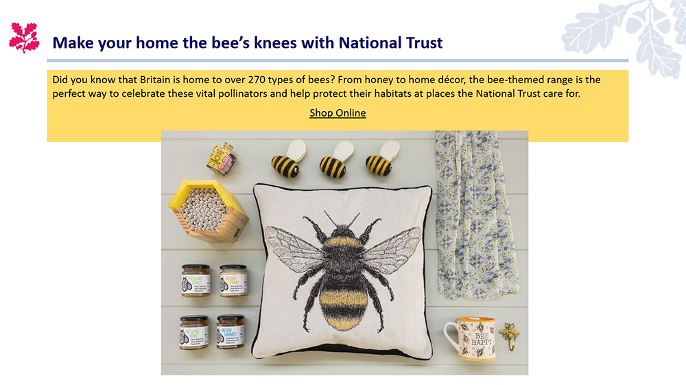National Trust Bee collection